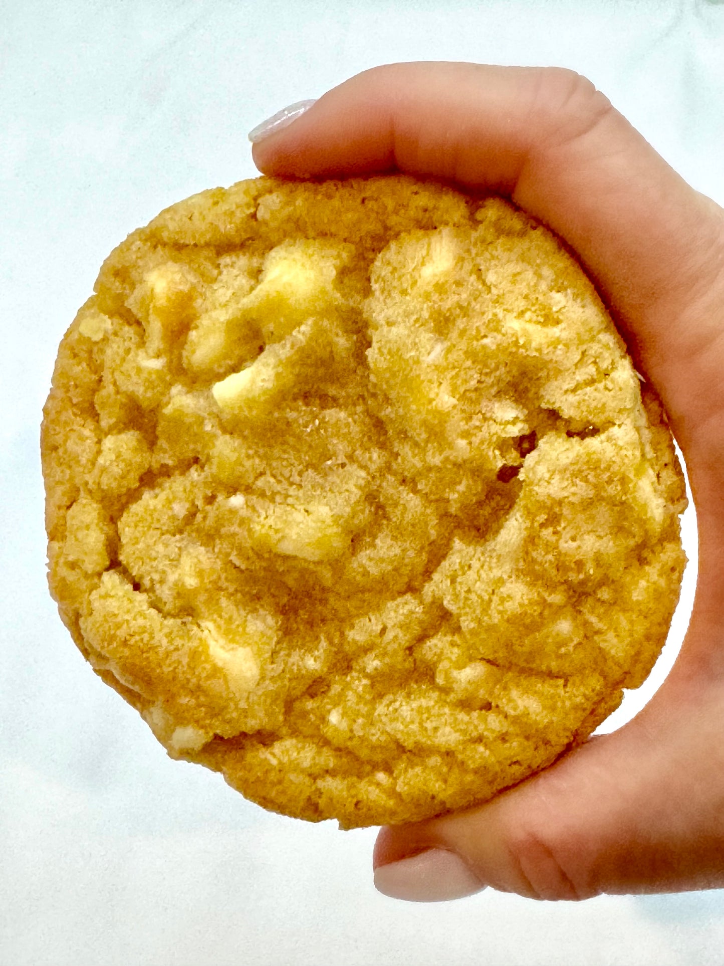 White Chocolate Macadamia Nut Cookies