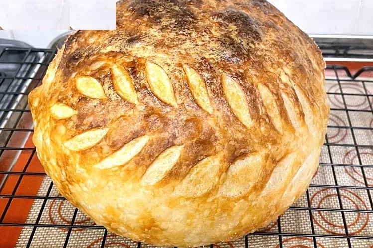 A Rodeo Bites sourdough boule scored in a wheat pattern, cooling on a rack